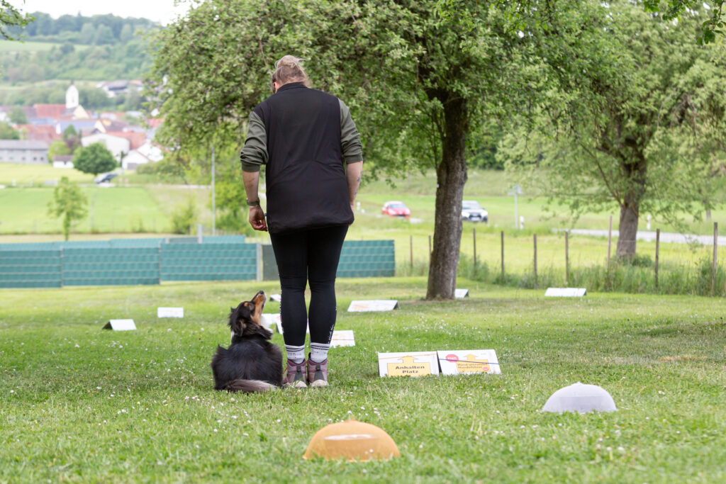 Rally Obedience auf dem Hundeplatz
